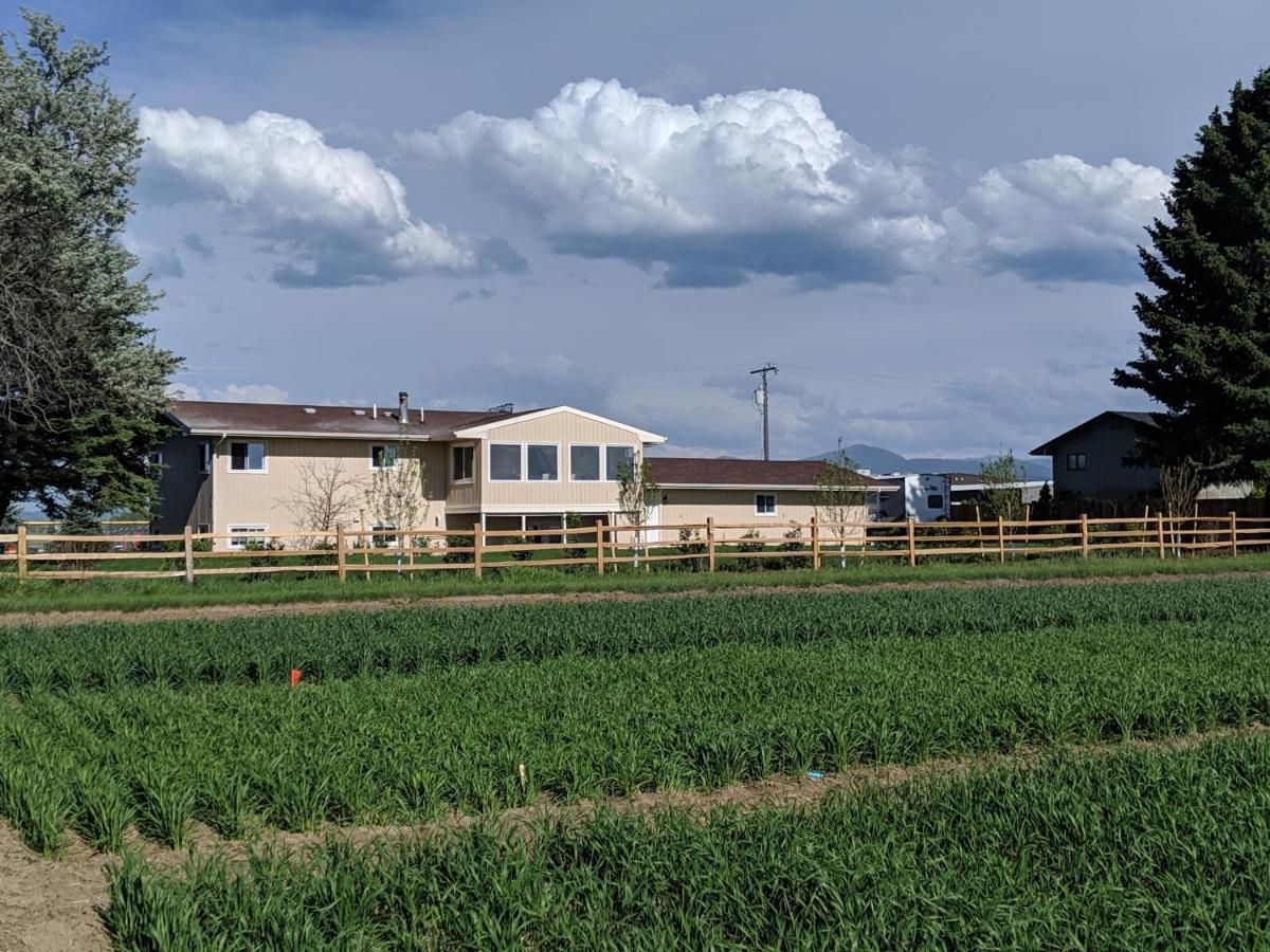 Villa Epic Sunsets In Bozeman - Wonderful View Exterior foto